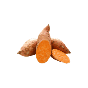 Sweet Potato