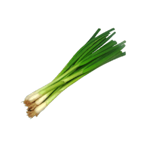 Spring Onions