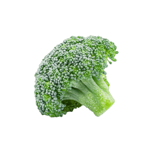 IQF Frozen Broccoli